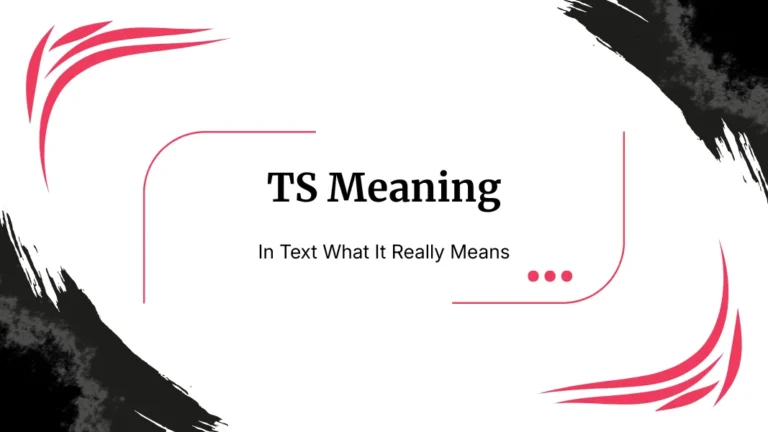 TS Meaning In Text